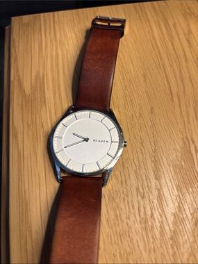 Skagen Silver Dial Watch with Brown Leather Strap